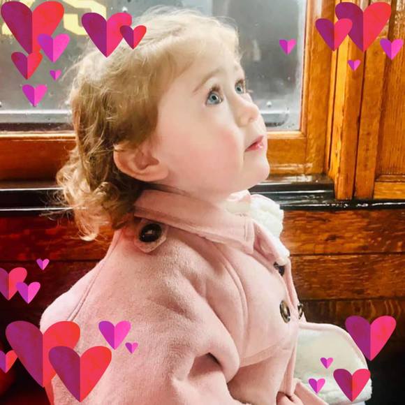 Meet your Posher, Devon - Picture 1 of 1